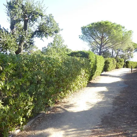 Zw. Cogolin Und St. Tropez * Grimaud