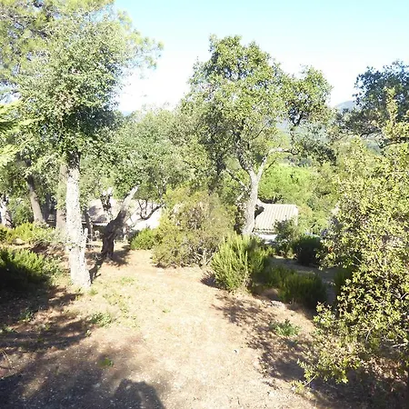 Zw. Cogolin Und St. Tropez Ferienhaus *